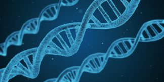 Rare Genomics Workshop: From Diagnosis to Therapeutics: Institutional and International Approaches to Rare Disease Genomics